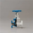 ANSI Globe Valve